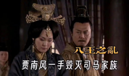 电视剧《八王之乱》,宫廷权谋与民族危机的史诗画卷